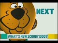 Cartoon Network Era Noods Bumper Next What S New Scooby Doo EUA