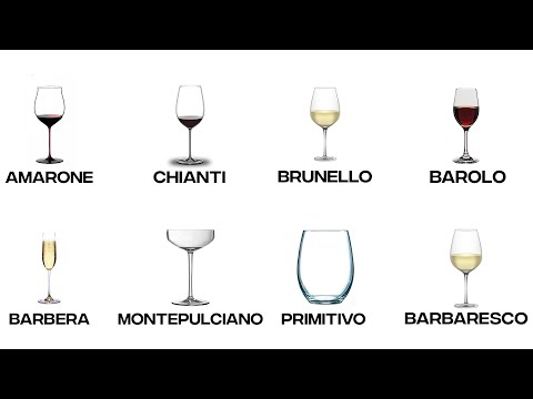 Every Wine Glass Explained in 8 Minutes