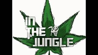 DJ LOONEY & MR TRAUMATIK (IN the jungle) D&B SET