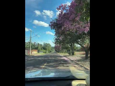 Bem vindo a progressista Guia Lopes da Laguna