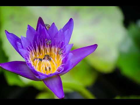 Udu Drum Solo - The meditation journey to innner joy (use headphones)