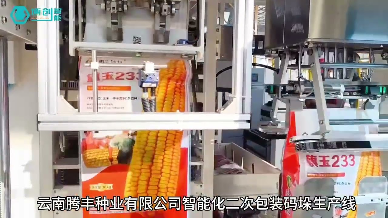 Ligne de conditionnement entièrement automatisée pour semences de maïs ou de riz