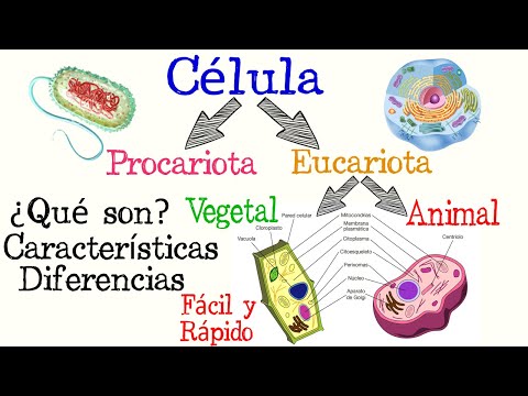🌐Prokaryotic and Eukaryotic Cells🌿🐱 | [Easy and Fast] | BIOLOGY |