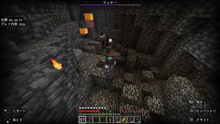 Minecraft　ウィザーハメ技