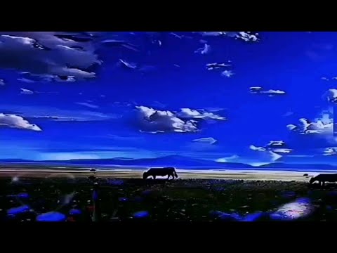 一首好听的歌曲，《乌兰巴托的夜》-王菲，带你走进美丽的大草原，让你享受视听觉的双重盛宴（素材来自网络）