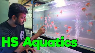 HS Aquatics I Delivery available All Over India I Offer till 14th Oct 2025