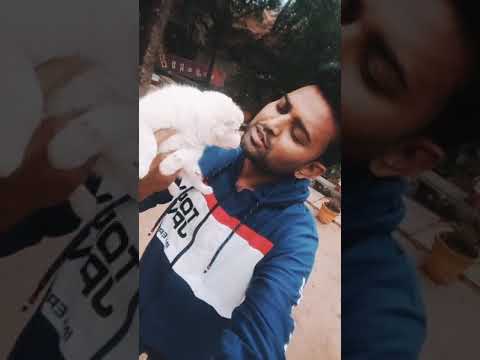 Basavaraja kuchipudi dancer