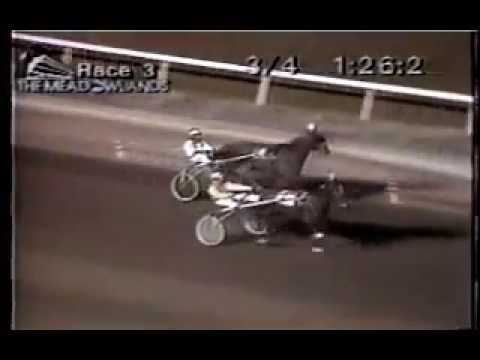 1994 Meadowlands MC BERNIE Trot Richard Silverman