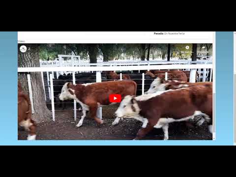 Remate Martin y Alonso SRL