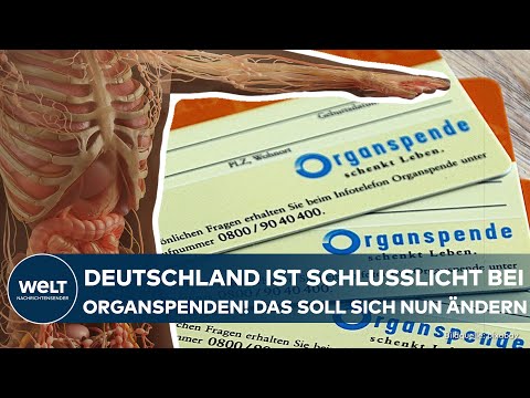 DEUTSCHLAND HAT ZU WENIGE ORGANSPENDER: Mehr Leben retten! Organspende-Register soll die Lösung sein