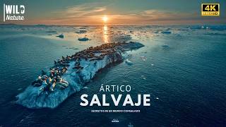 ÁRTICO SALVAJE – Secretos de un Mundo Congelado | Documental Animal