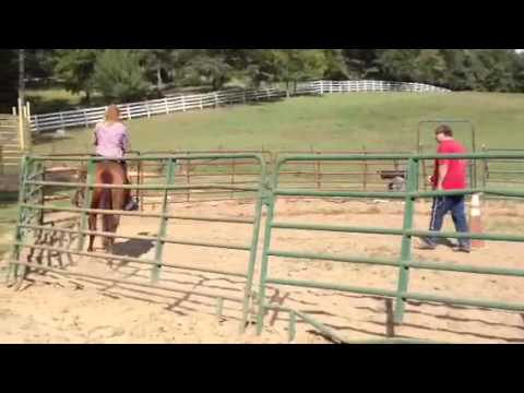 Reylene - Montgomery Farm