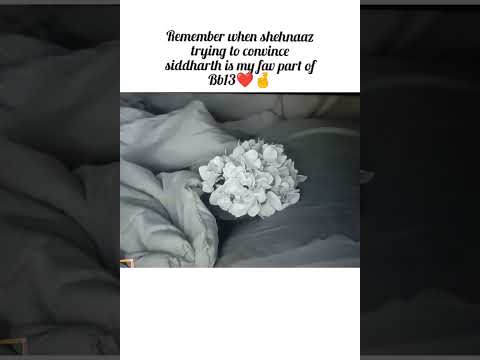 shehnaaz trying to convince siddharth ❤️ #bb13 #shehnaaz #trending  #shorts #siddharthshukla