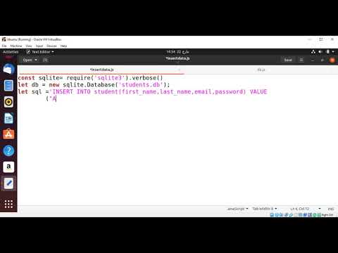 Insert Data Into Sqlite Database With Nodejs App