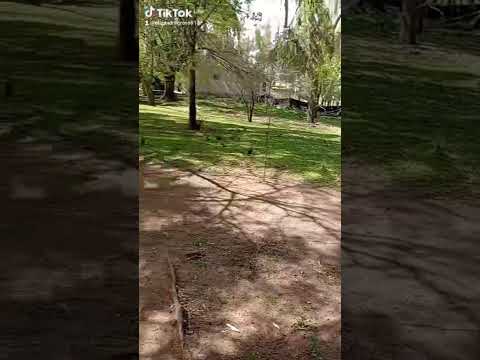 G.alvear(Buenos Aires)