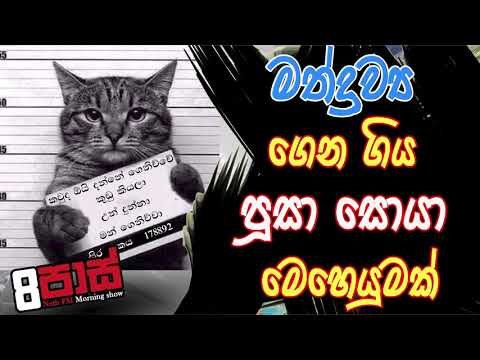 NETH FM 8 Pass Jokes 2020.08.05 - මත්ද්‍රවය ගෙන ගිය පූසා සොයා මෙහෙයුමක්