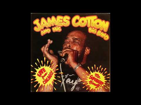 Thumbnail for James Cotton - When It Rains It Pours by James Cotton