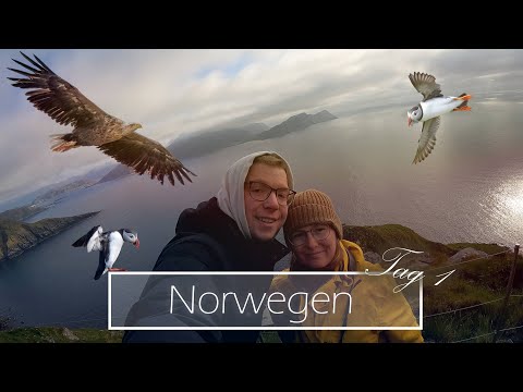 Papageitaucher und Wasseramsel - Birding in Norwegen 🇳🇴(Tag 1)