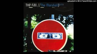 The Fall - This Perfect Day