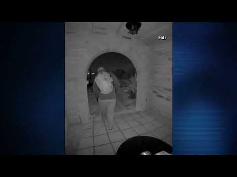 Nancy Guthrie update: FBI releases video of possible subject
