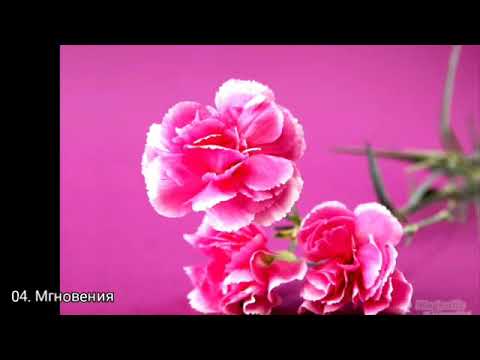 download lagu mp3 mp4 таривердиев музыка скачать, download lagu таривердиев музыка скачать gratis, unduh video klip Download таривердиев музыка скачать Mp3 dan Mp4 Full Gratis