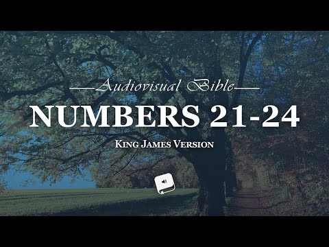Numbers Chapter 21-24 King James Version (KJV)