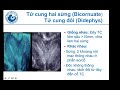 Khối echo hỗn hợp lòng tử cung là gì