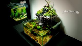 Making Ancient Mayan Architecture with Waterfall in Aquaterrarium
