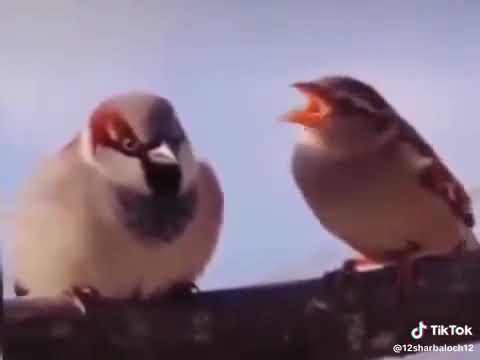 😀😀😀😀😀😀😀😀😂😂😂😂😂😂😂😂😂😂😘😀😀😀😀😀😀😀😂😂😂😂😂😂