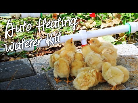 Automatic Circulating Heating Poultry Water Kit - Anti-freezing, with Installation Process