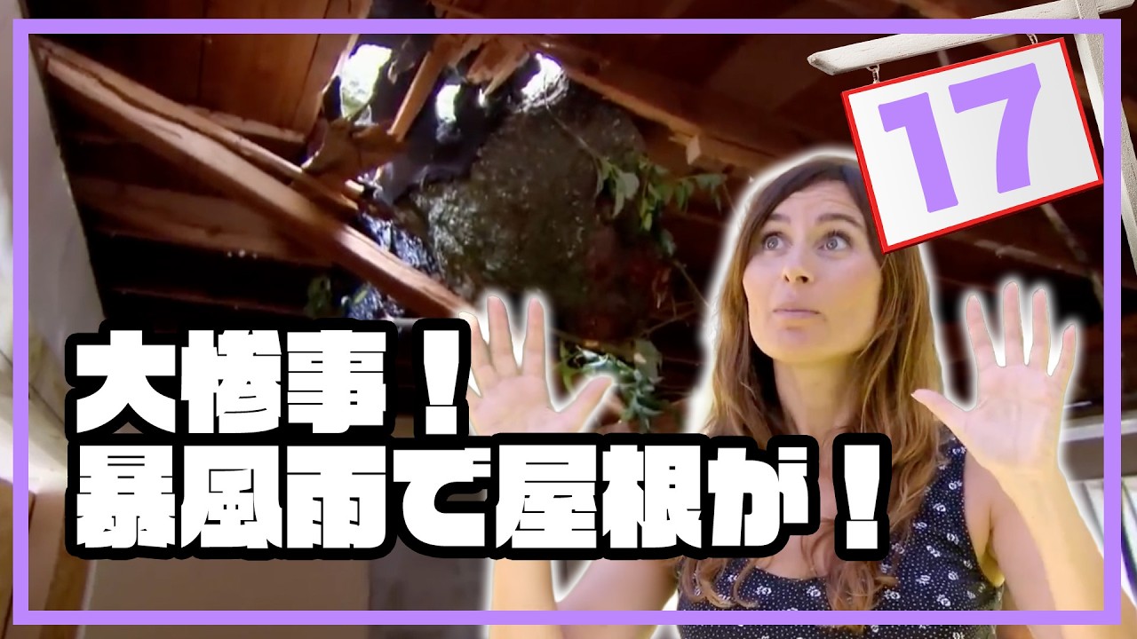 【大惨事】改築中に暴風雨で大枝が屋根を突き破る！｜リフォーム大再生！ゾンビハウス S2 #17