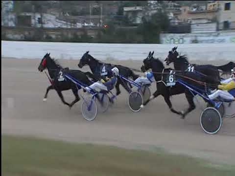 Trotto 30/11/2018 - 4ª corsa