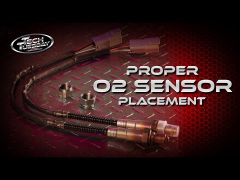 Proper O2 Sensor Placement