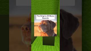 Download lagu The Origins Of Meme Sounds #9 mp3