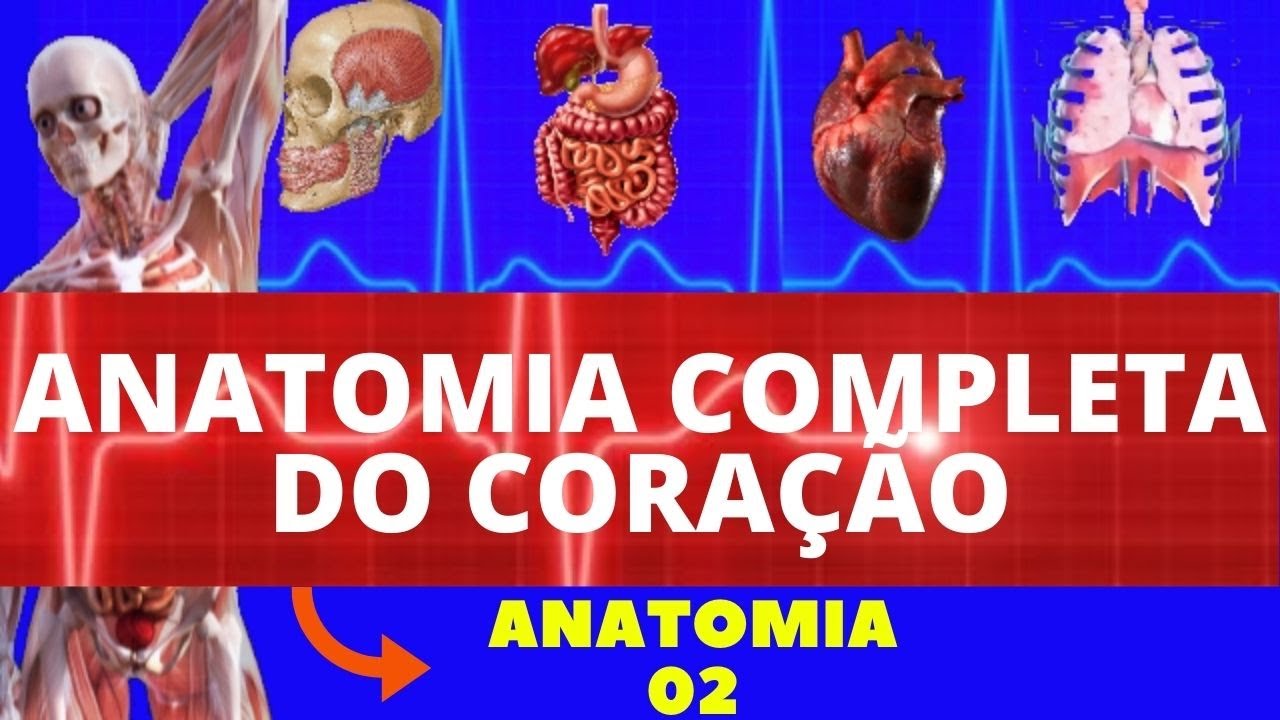 ANATOMIA DO CORAÇÃO (LOCALIZAÇÃO, CAMADAS, VALVAS, CORONÁRIAS E INERVAÇÃO) - SISTEMA CARDIOVASCULAR