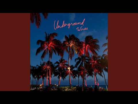 Another Adventure Begins (Hawaijin Reggae)