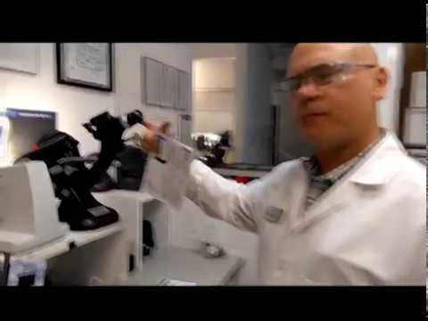 Can You Bring Your Own Frames To Lenscrafters - How To Discuss