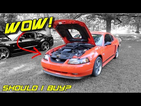 THE 03-04 MACH 1 FORD MUSTANG I NEVER OWNED- SO SHOULD I BUY ONE IN 2019?