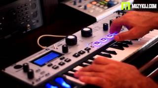 Video thumbnail for Novation MoroderNova Animate by muzykujkropkacom