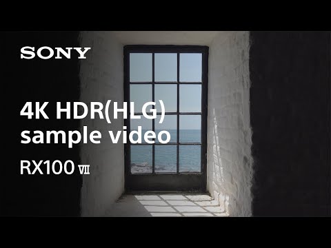 SONY ̹ DSC-RX100 VII