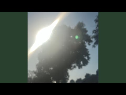 Video thumbnail for bristle