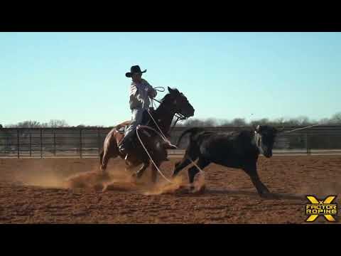 Levi Lord Team Roping Practice Session | X Factor Team Roping