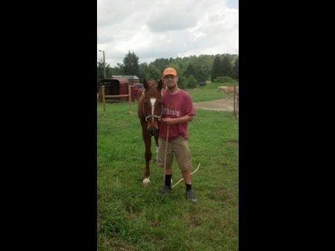 Official Humming Bird In Slow Motion   Fly Like An Eagle