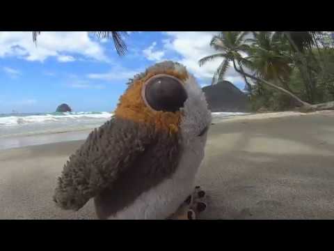 Ozean - Die Band auf dem Drahtseil