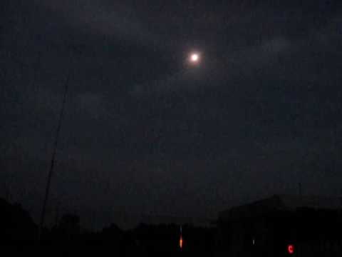 2 Golden Willow to White Strobe