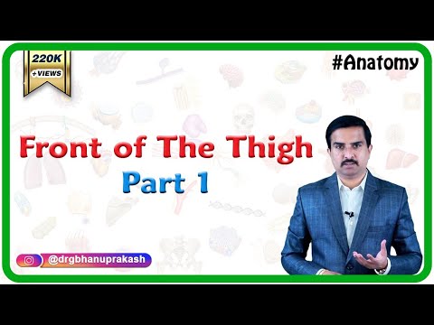 Anatomy Front of the thigh - Part 1   ( Dr.G.Bhanu Prakash )