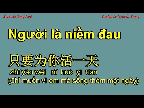 Karaoke - Người là niềm đau - 只要为你活一天 (Chỉ muốn vì em mà sống thêm một ngày) D Min