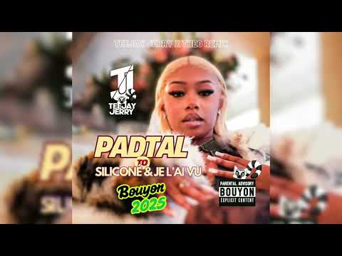 Denden vs Niska vs Holly G - Padtal vs Siliconé vs Je l’ai vu (Teejay Jerry & Théo Remix)