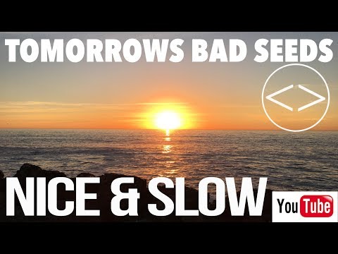 Tomorrows Bad Seeds - Nice & Slow (Official Music Vide0)