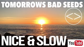 Tomorrows Bad Seeds - Nice & Slow (Official Music Vide0)